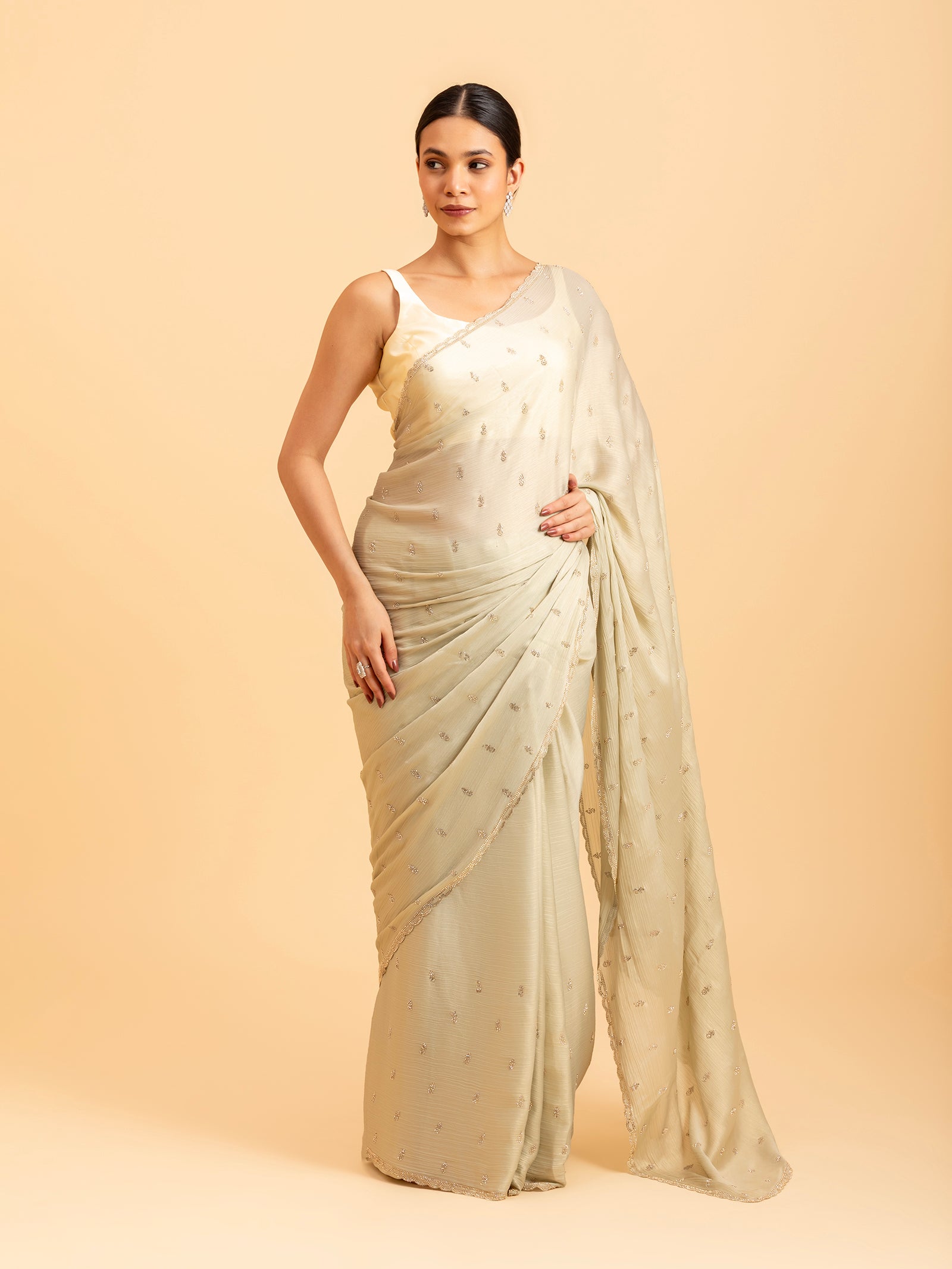 Pistachio Starburst Saree