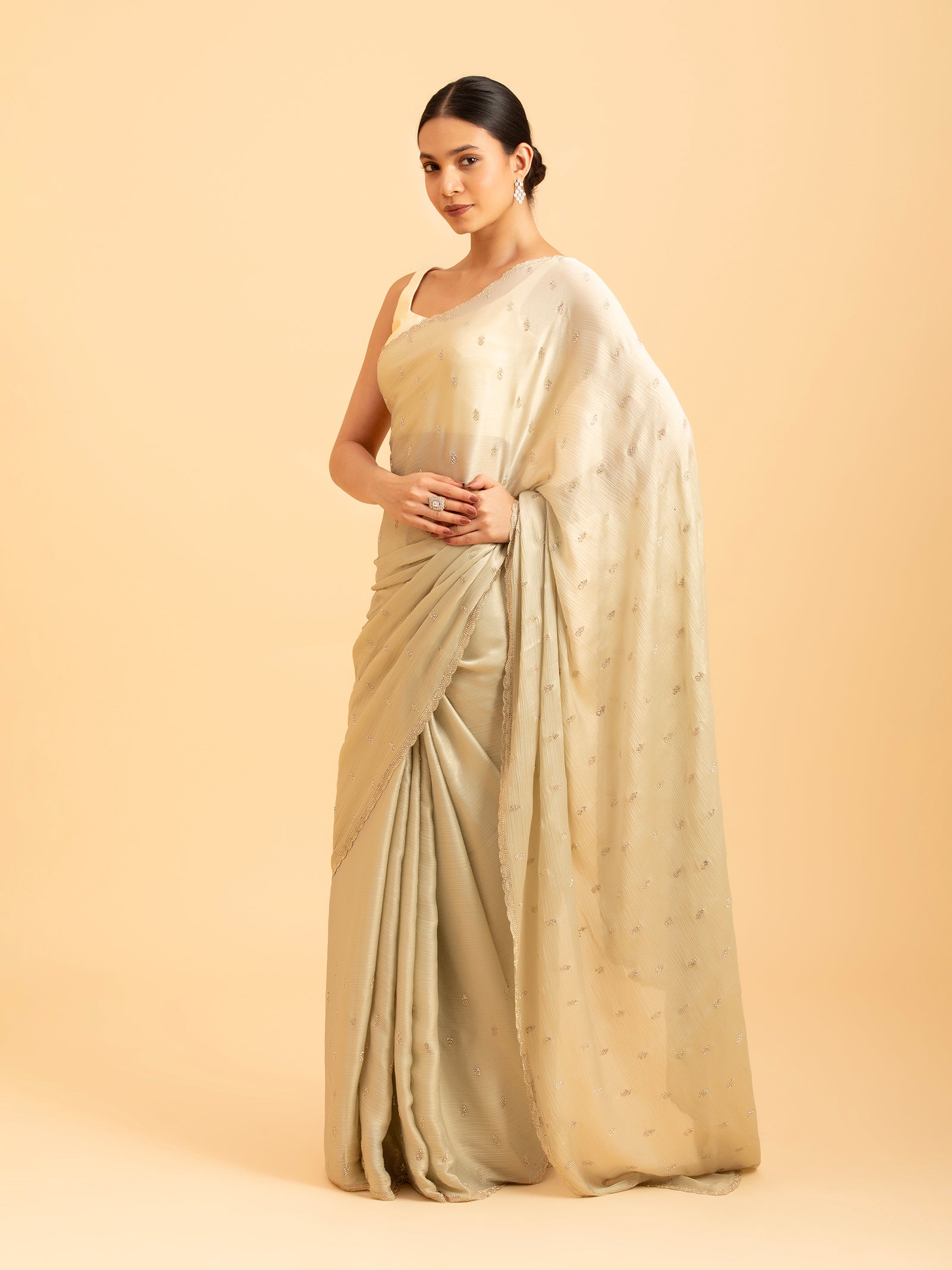 Pistachio Starburst Saree