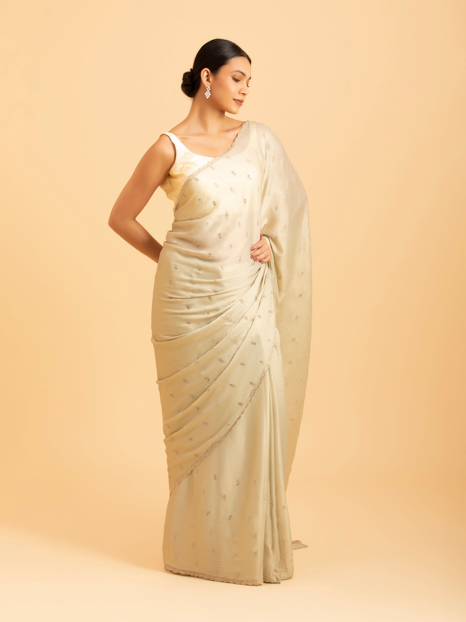 Pistachio Starburst Saree