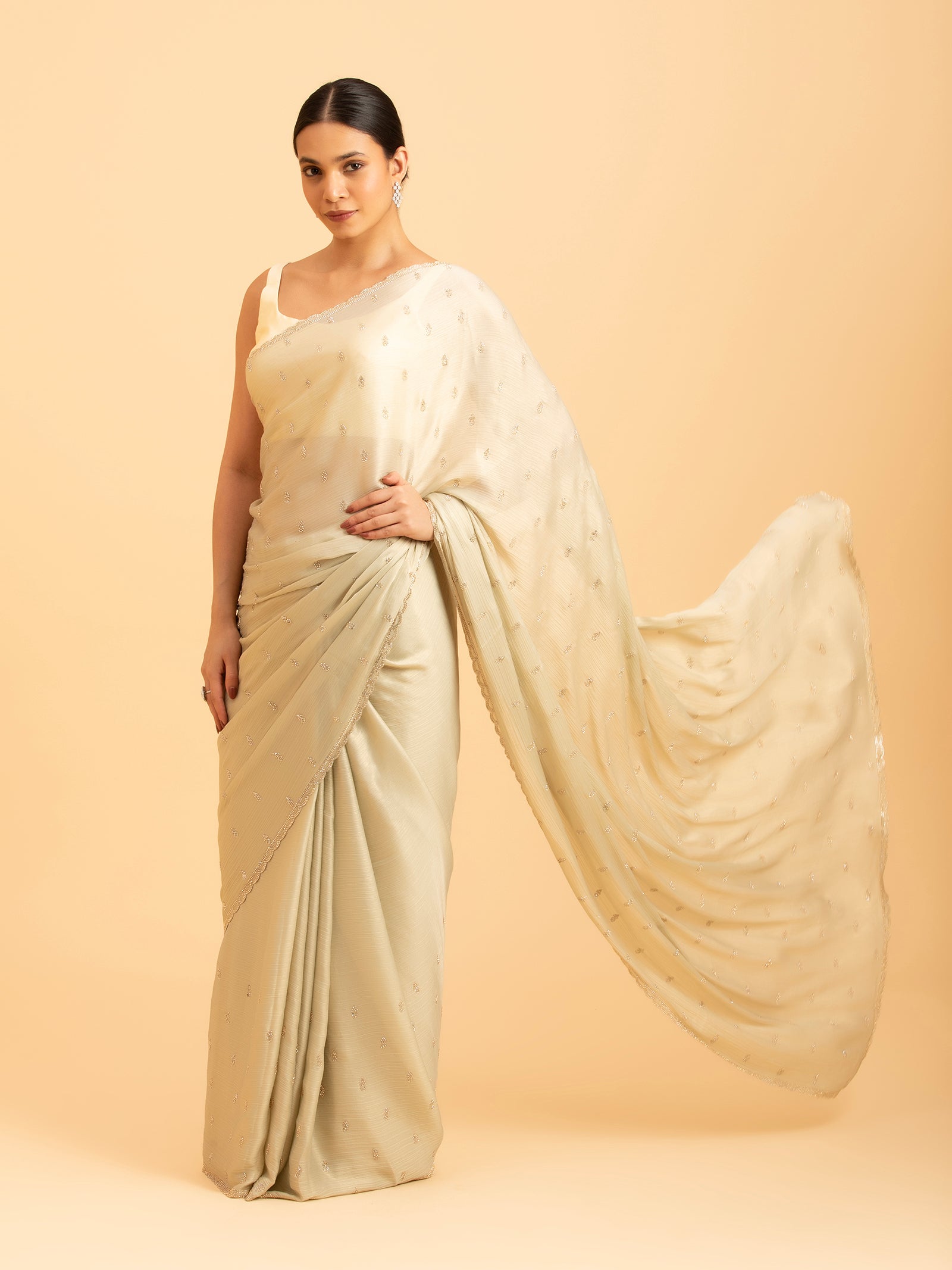 Pistachio Starburst Saree