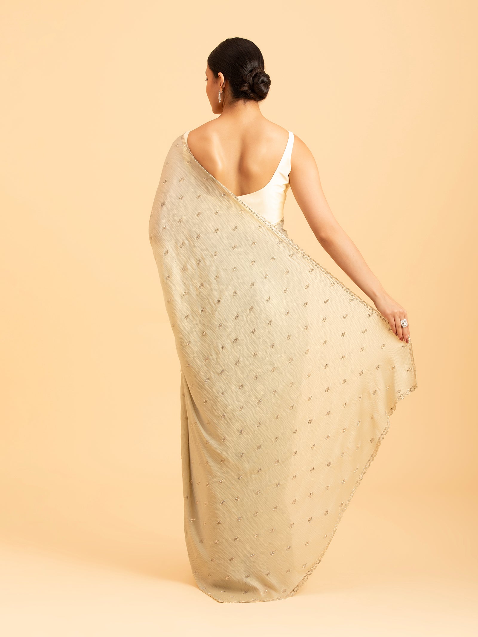 Pistachio Starburst Saree